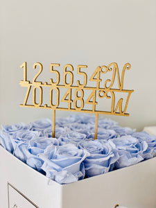 Personalized Coordinates Cake Topper, 5"W